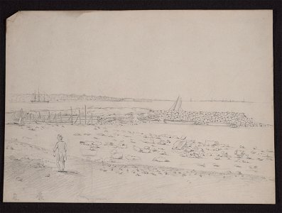 View of Charleston, South Carolina, possibly looking north toward Sullivan's Island LCCN2009631966