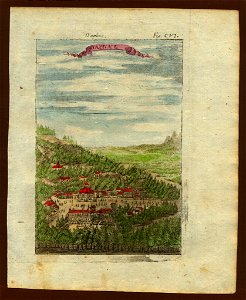 View of Daphne (near Antioch), Description de L'Universe (Alain Manesson Mallet, 1719)
