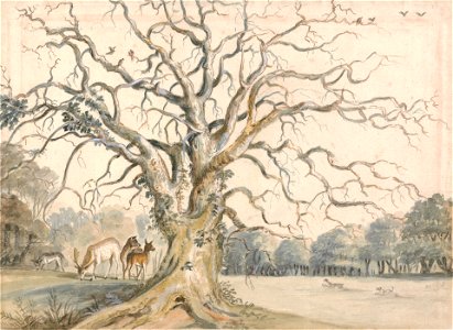 View of a Park with Deer by William Byron, 4th Baron Byron