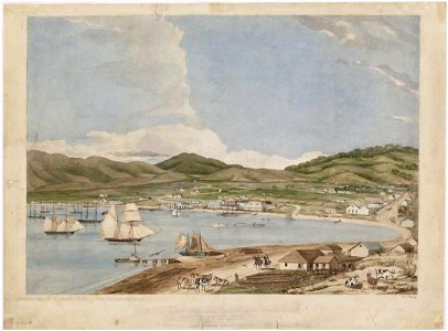 View of a part of the town of Wellington, New Zealand, looking towards the south east, comprising about one-third of the water-frontage C-025-009
