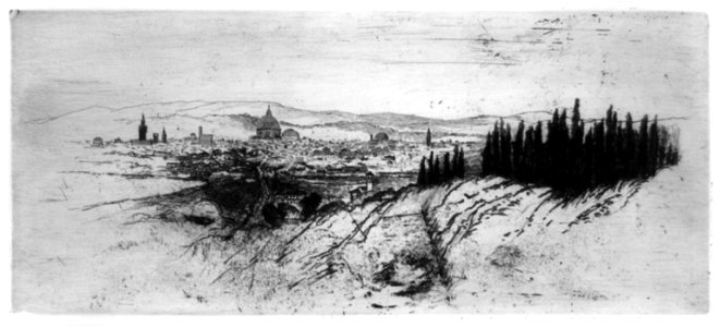 View of Florence, 1886, from Maiano, (Italy) LCCN96512438