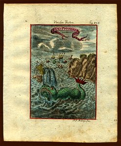 View of fish (a sea monster), 1719
