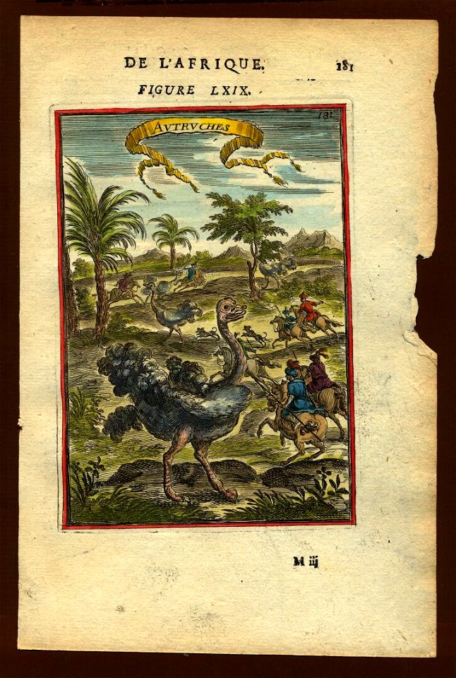 View of ostriches (being hunted), 1683