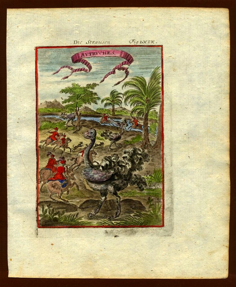 View of ostriches (being hunted), 1719