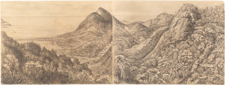 View from the Pinheiros - Corcovado 1400 feet above the level of the Sea - 20th December 1854, da Coleção Brasiliana Iconográfica