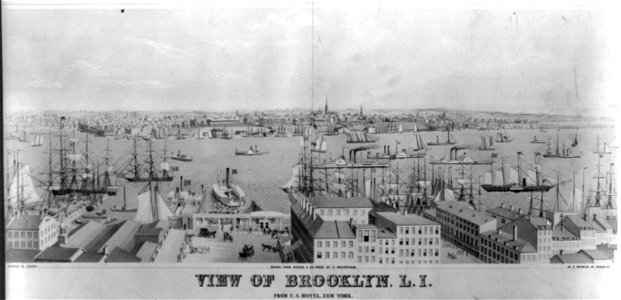 View of Brooklyn, L.I. from U.S. Hotel, New York LCCN2003672873