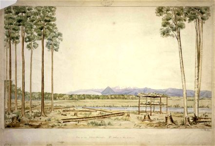 View in the Nelson district; Mt. Arthur in the distance no. 6 C-025-005
