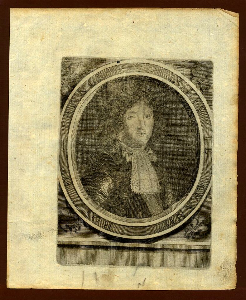 View of King Louis of France, 1719
