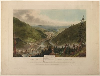 View of Mount Carbon - J.R. Smith, Junr. Del., J.R. Smith, Senr Sculpt. LCCN2011661151
