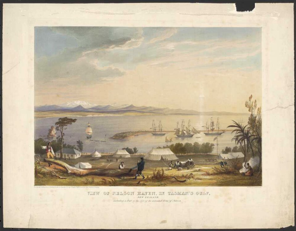 View of Nelson Haven (NLA 137139932)