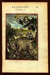 View of snakelike dragons (and elephants), 1683. Free illustration for personal and commercial use.