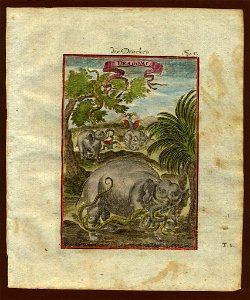 View of snakelike dragons (and elephants), 1719. Free illustration for personal and commercial use.