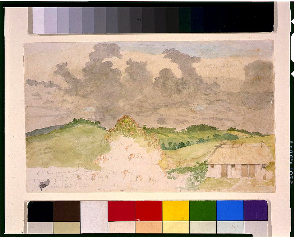 View of house or store, Jamaica LCCN96516468