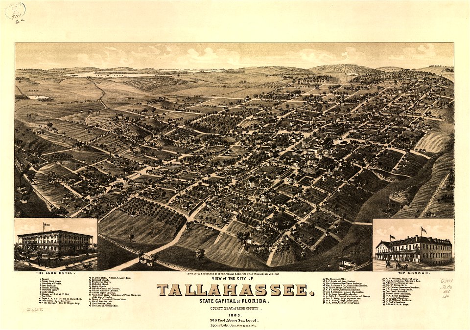 View of the city of Tallahassee. State capital of Florida, county seat of Leon county 1885. LOC 75693186