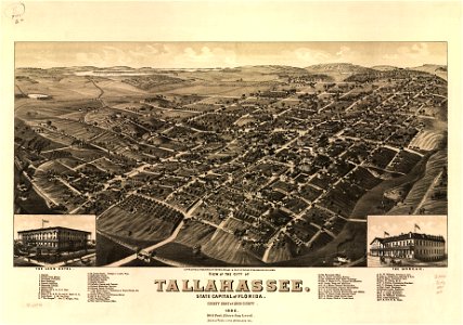 View of the city of Tallahassee. State capital of Florida, county seat of Leon county 1885. LOC 75693186
