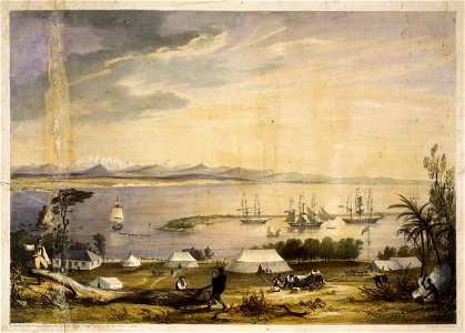 View of Nelson Haven 1992-0035-1728