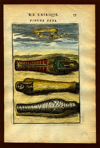 View of mummies, 1683. Free illustration for personal and commercial use.