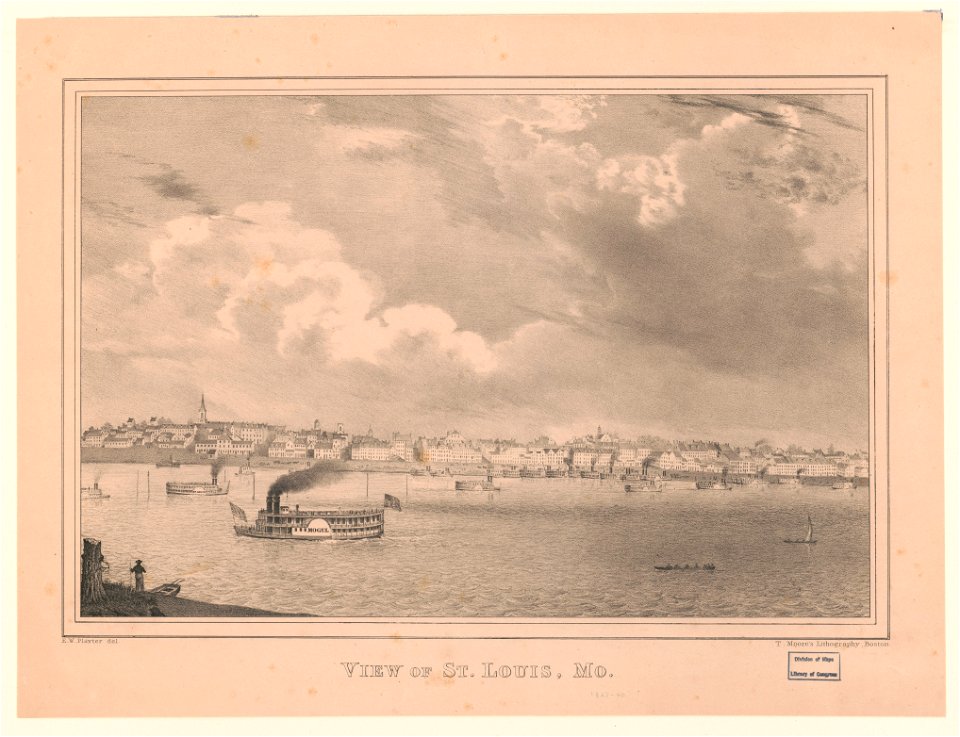 View of St. Louis, MO. LCCN2003672923