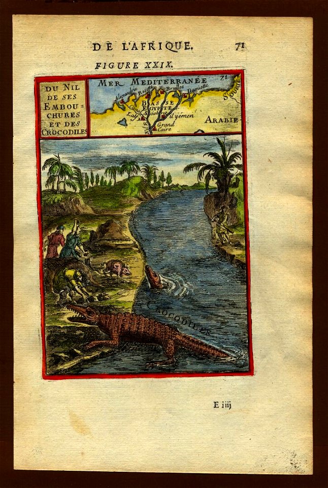 View of the Nile and crocodiles, 1683