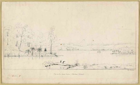 View on the Great Lake, Chatham Island. A-146-002