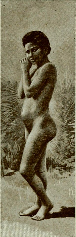 Vignola - Toutes les femmes, vol. 3, 1904 - Image-267