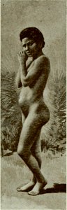 Vignola - Toutes les femmes, vol. 3, 1904 - Image-267