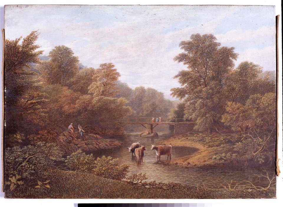 View taken form Pwllypant house