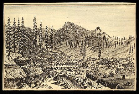 View of the mine at Long Gulch LCCN2004661647