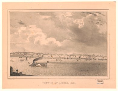 View of St. Louis, MO. LCCN2003672923
