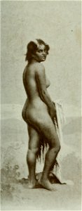 Vignola - Toutes les femmes, vol. 3, 1904 - Image-215