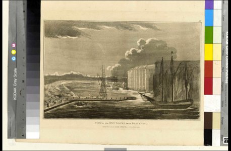 View of the Wet Docks from Blackwall RMG PY2195