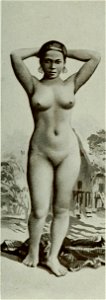 Vignola - Toutes les femmes, vol. 3, 1904 - Image-183