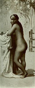 Vignola - Toutes les femmes, vol. 3, 1904 - Image-079