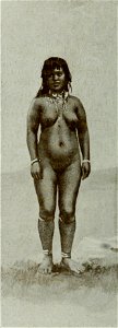 Vignola - Toutes les femmes, vol. 3, 1904 - Image-284