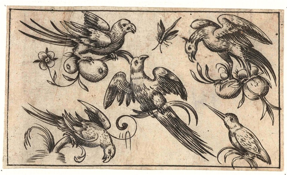 Vijf vogels en een libelle