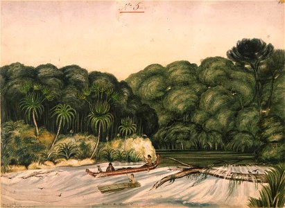 View on the Pelorus River. Drawn by C Heaphy from a sketch by E J Wakefield Esqr. -A-145-007