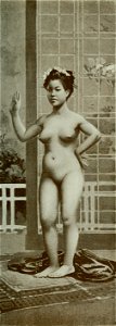 Vignola - Toutes les femmes, vol. 3, 1904 - Image-159