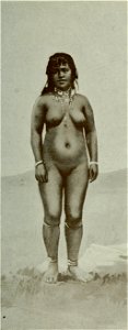 Vignola - Toutes les femmes, vol. 3, 1904 - Image-207