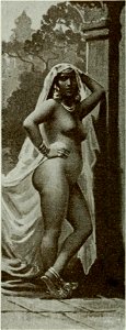 Vignola - Toutes les femmes, vol. 3, 1904 - Image-266