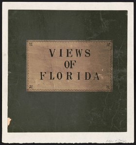 Views of Florida LCCN2003688789