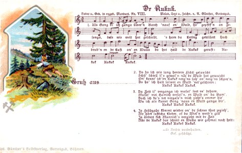 VIII - Dr Kukuk 1904