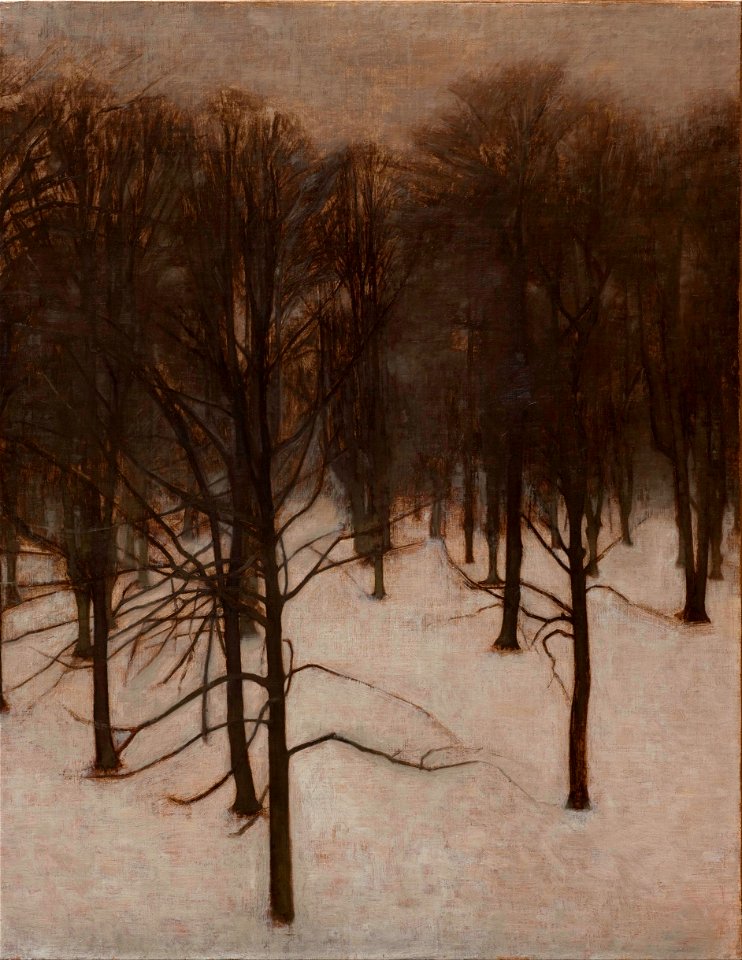 Vilhelm Hammershøi - Søndermarken Park in winter - Google Art Project