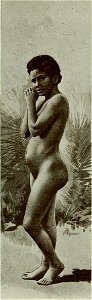 Vignola - Toutes les femmes, vol. 3, 1904 - Image-139