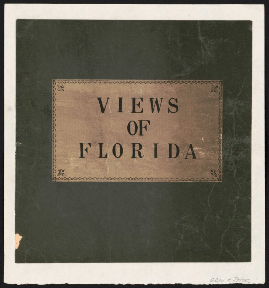 Views of Florida LCCN2003688789