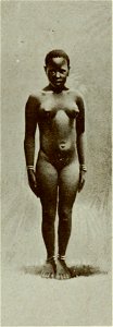 Vignola - Toutes les femmes, vol. 3, 1904 - Image-285