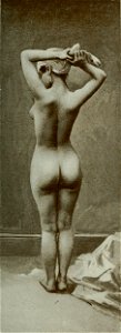 Vignola - Toutes les femmes, vol. 3, 1904 - Image-259