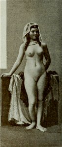 Vignola - Toutes les femmes, vol. 3, 1904 - Image-276