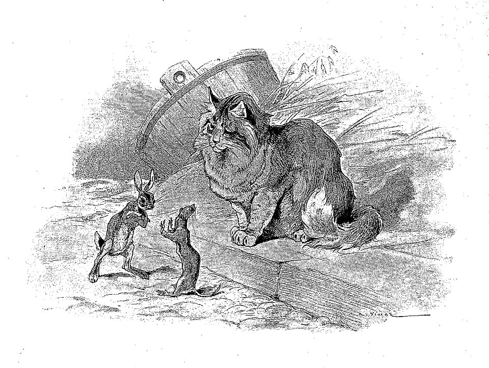 Vimar - Fables de La Fontaine - 07-12 . Le Chat, la Belette et le Petit Lapin