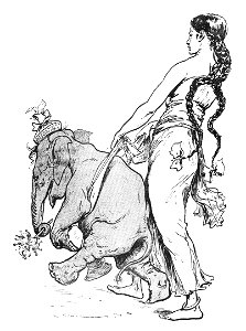 Vimar - Le Boy de Marius Bouillabès - Illustration p12