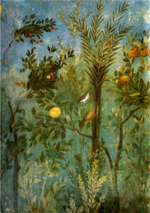 Villa di livia, affreschi di giardino, parete corta meridionale, dettagllio 01